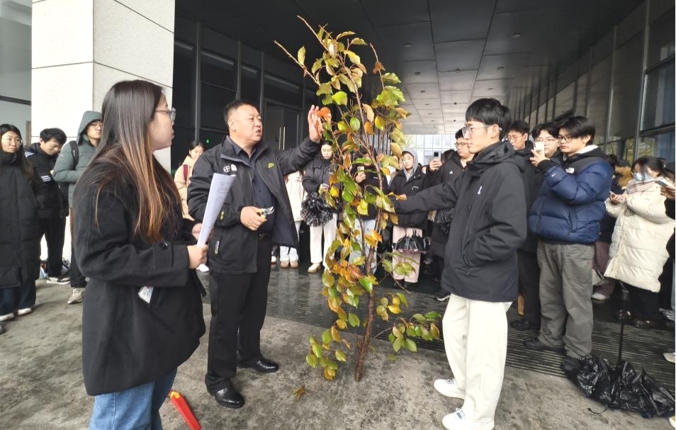 我院组织开展果树整形修剪教学实训
